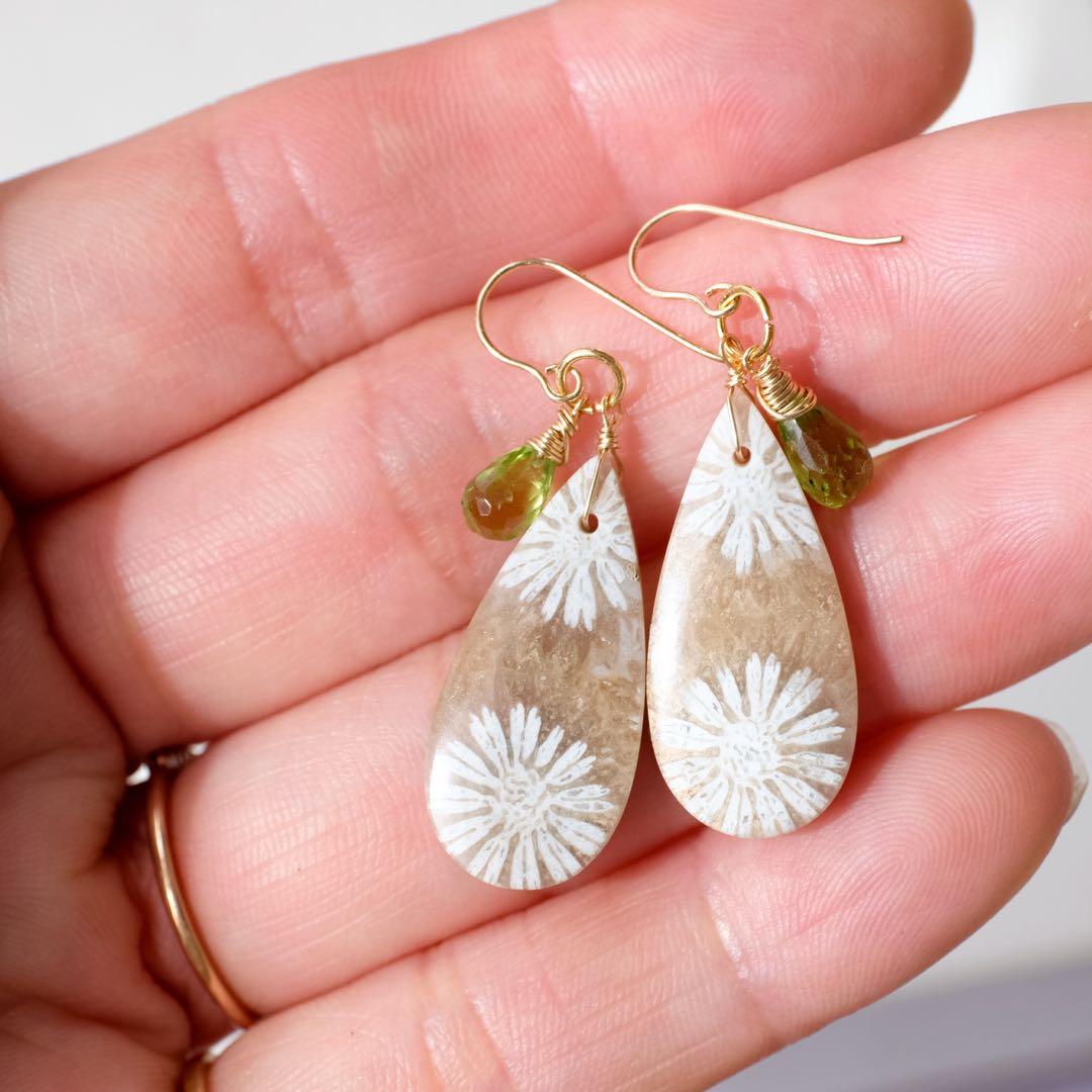 ポメころび 14kgfフォッシルコーラルピアス/イヤリング