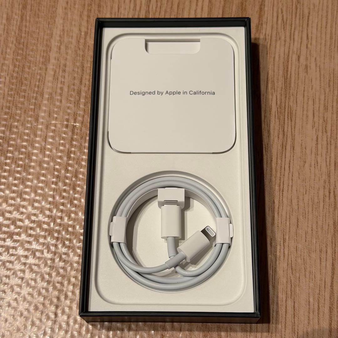 アメリカ版 iPhone 13 Pro 256GB シエラブルー