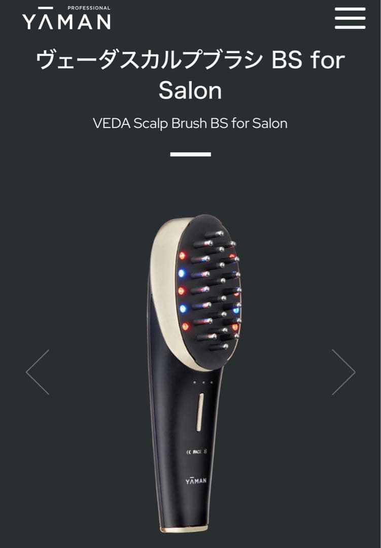 YA-MANヴェーダスカルプブラシ BS for salon 電気バリブラシ
