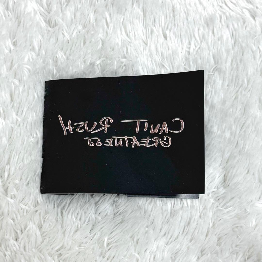 【付属品付き・海外限定】シナワールド カード キーホルダー ステッカー 袋