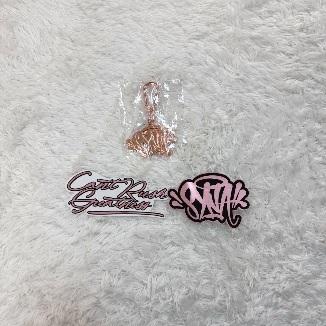 【付属品付き・海外限定】シナワールド カード キーホルダー ステッカー 袋