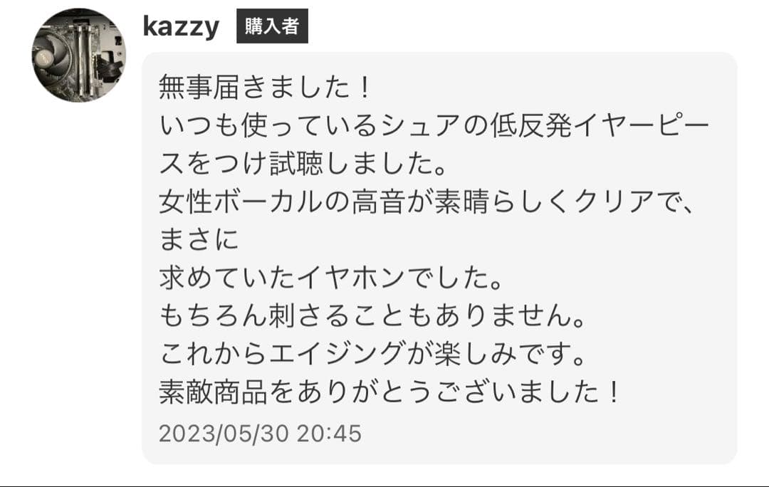 青 DIY SE846 純正希少ユニット使用 (超高評価アップグレード12BA)