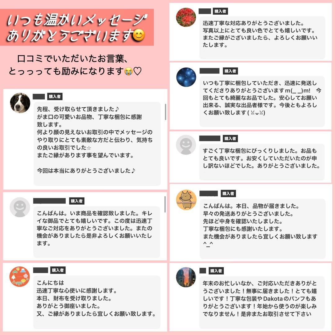 Rio✨希少LOEWEロエベ長財布パズルレースジップアラウンドbind黒