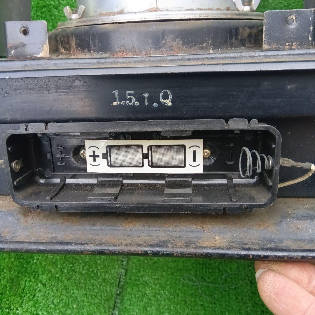 アラジン シルバー クイーン Aladdin Silver Queen