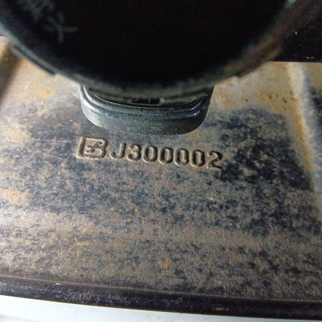 アラジン シルバー クイーン Aladdin Silver Queen