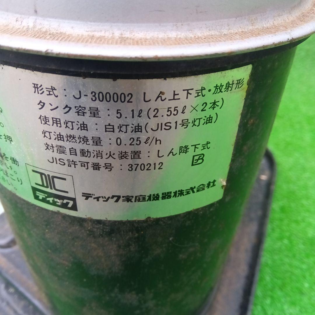 アラジン シルバー クイーン Aladdin Silver Queen