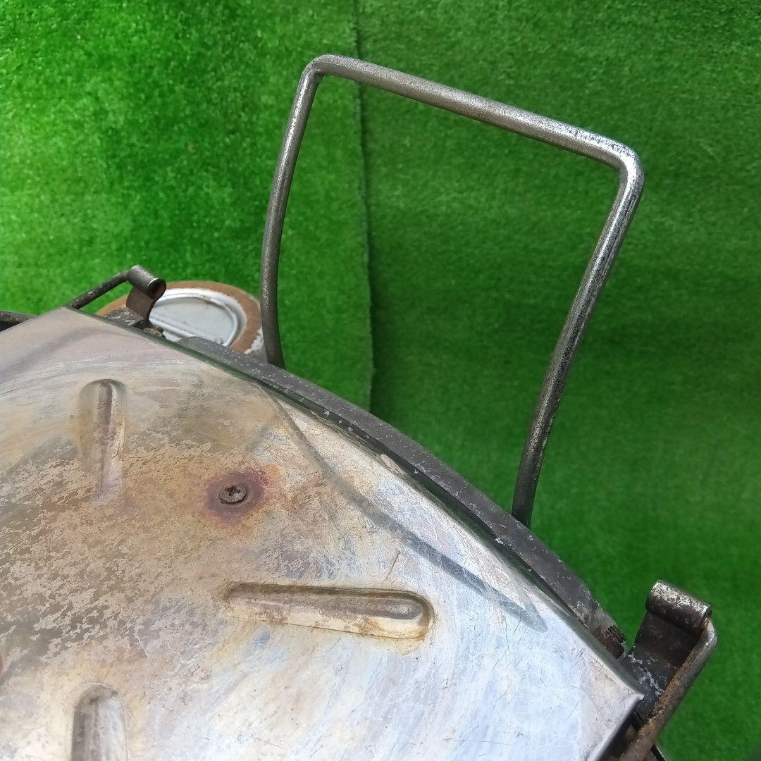 アラジン シルバー クイーン Aladdin Silver Queen