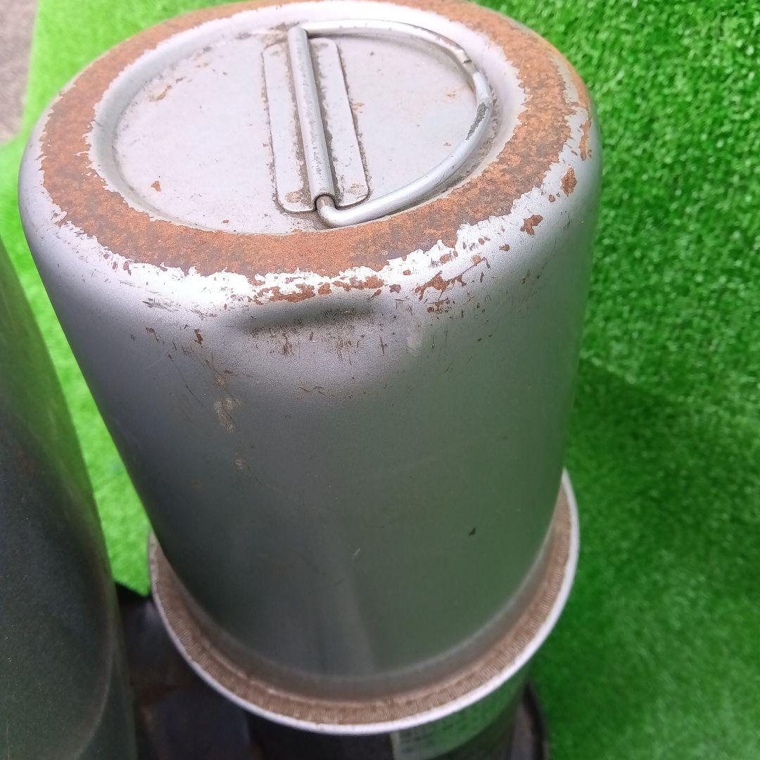 アラジン シルバー クイーン Aladdin Silver Queen