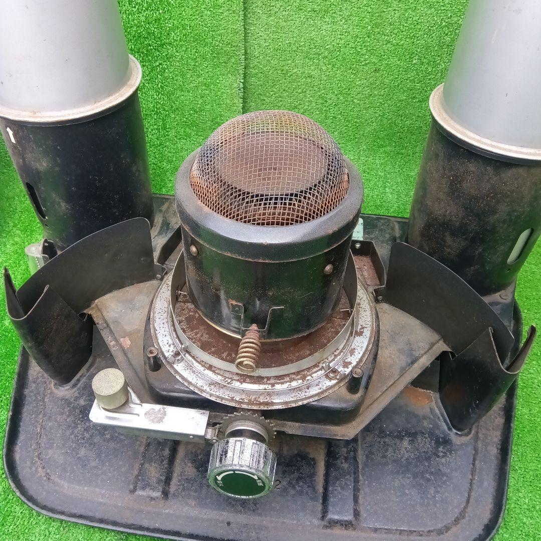 アラジン シルバー クイーン Aladdin Silver Queen