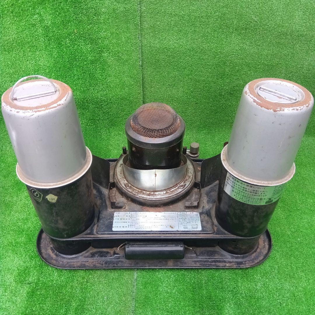 アラジン シルバー クイーン Aladdin Silver Queen