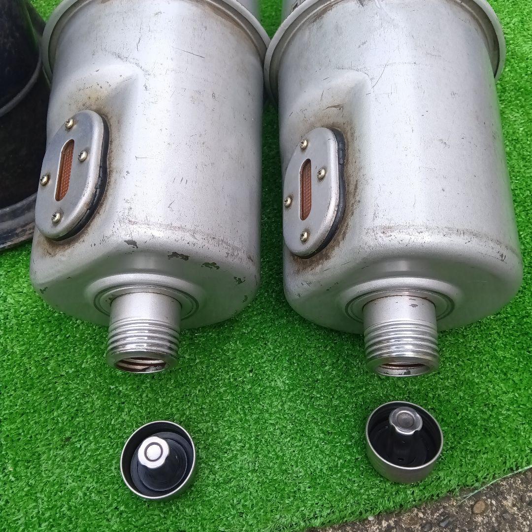 アラジン シルバー クイーン Aladdin Silver Queen