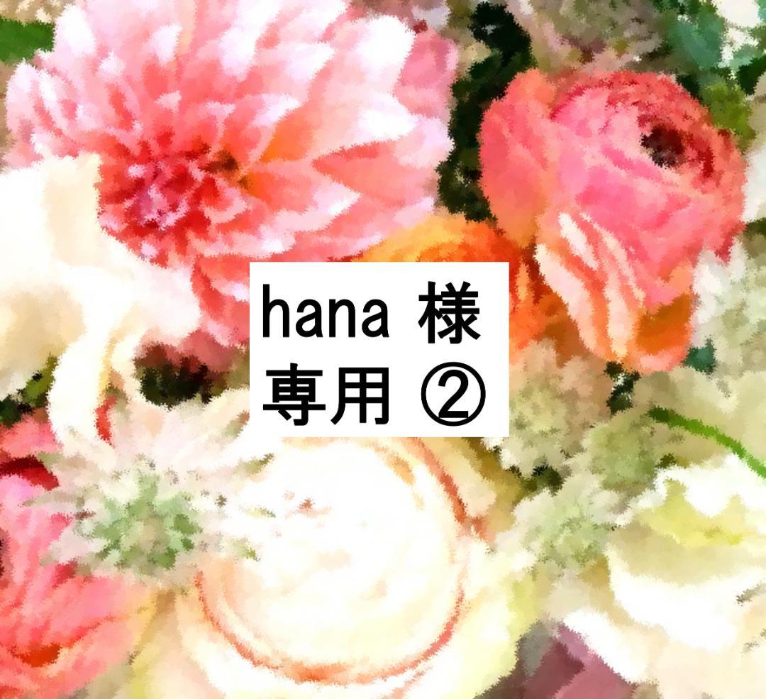 hana ② 2021年最新版フルセット 未開封ディスク48枚 DWE