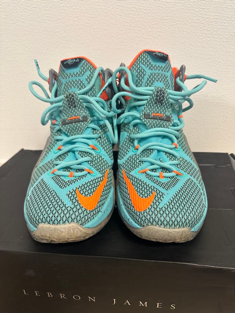 LEBRON XII レブロン12　NIKE バッシュ　ナイキ