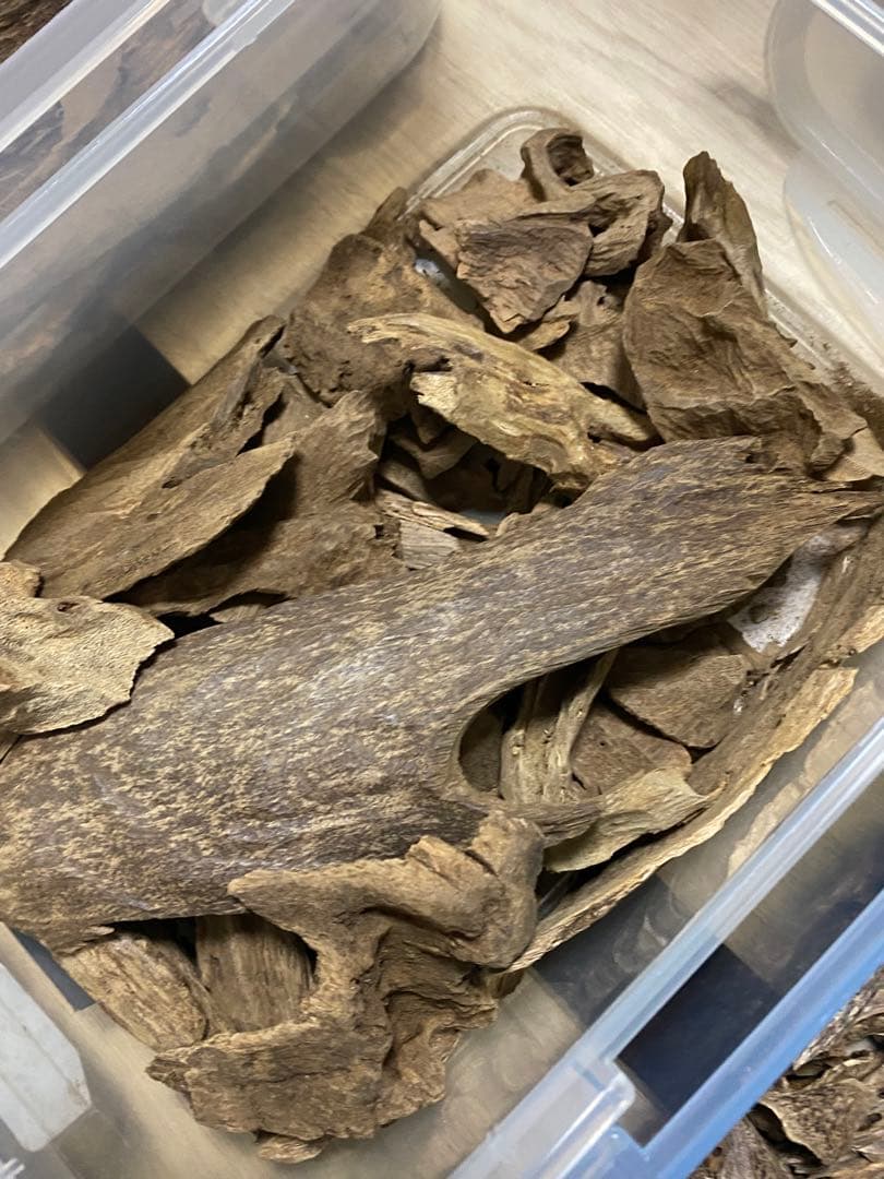 ユキサンプルセット