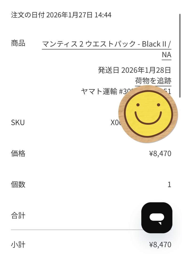 【正規品タグ付き】アークテリクス ARC’TERYX マンティス2