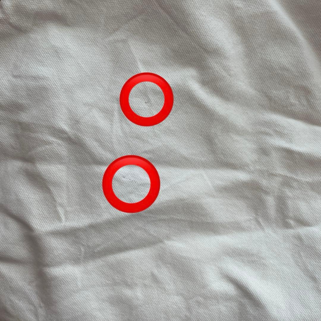 【値下げしました】unico ラタンチェアCAGE（カージュ） ソファ