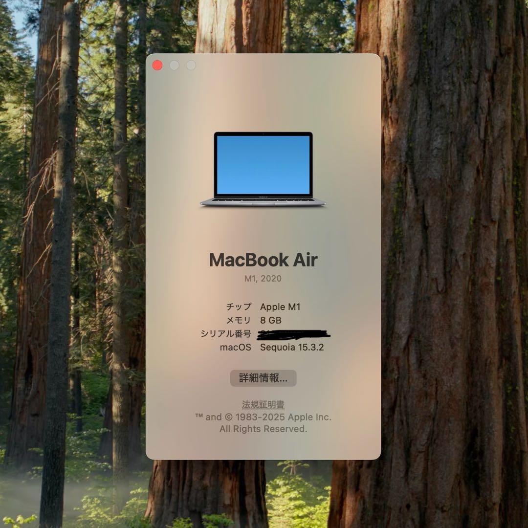 Apple MacBook Air M1（2020）スペースグレイ