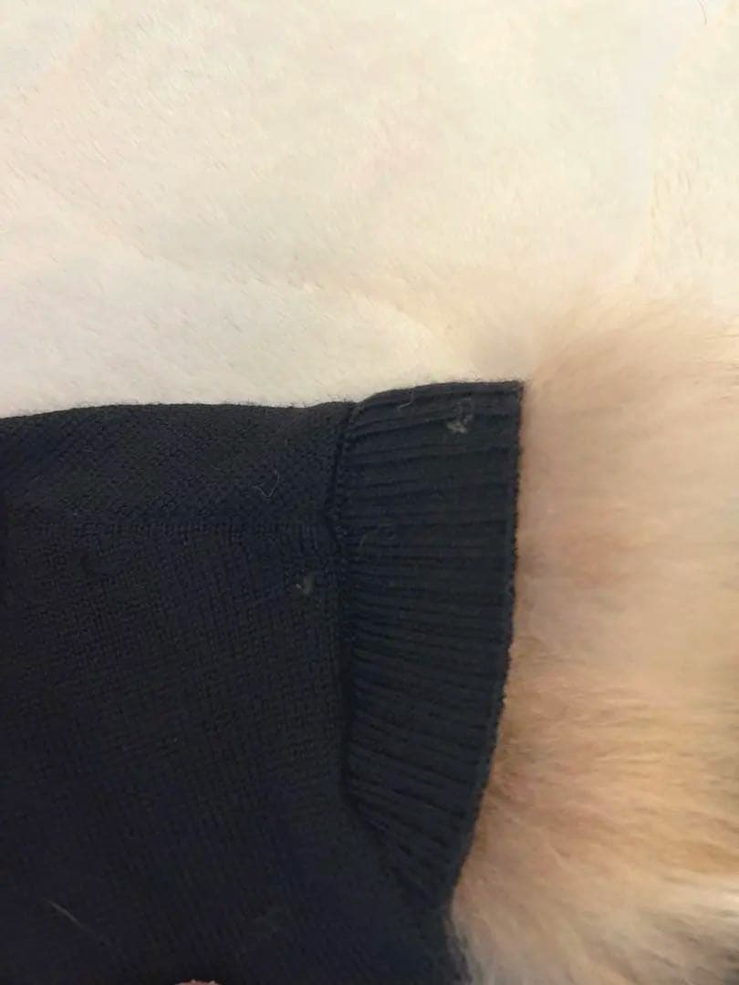 FENDI フェンディ　ニット　半袖　リアルファー