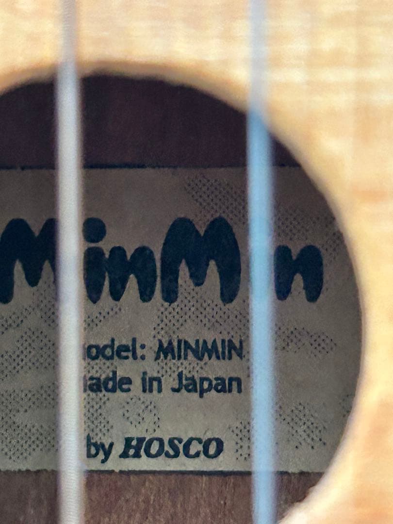 HOSCO みんなの民族楽器 ミンミン MinMin 3弦ギター　おまけ付き