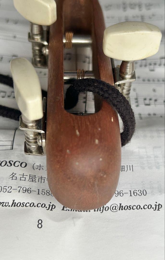 HOSCO みんなの民族楽器 ミンミン MinMin 3弦ギター　おまけ付き