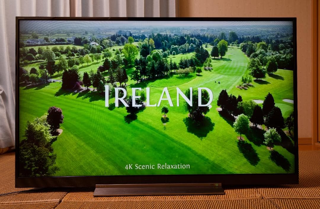 東芝 REGZA 4K液晶テレビ 55BZ710X