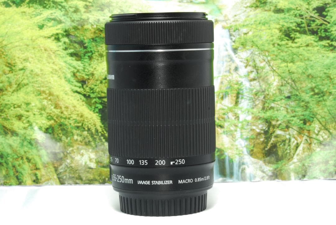 ✨高性能な望遠レンズ✨Canon EF-S 55-250㎜ IS STM✨静音✨