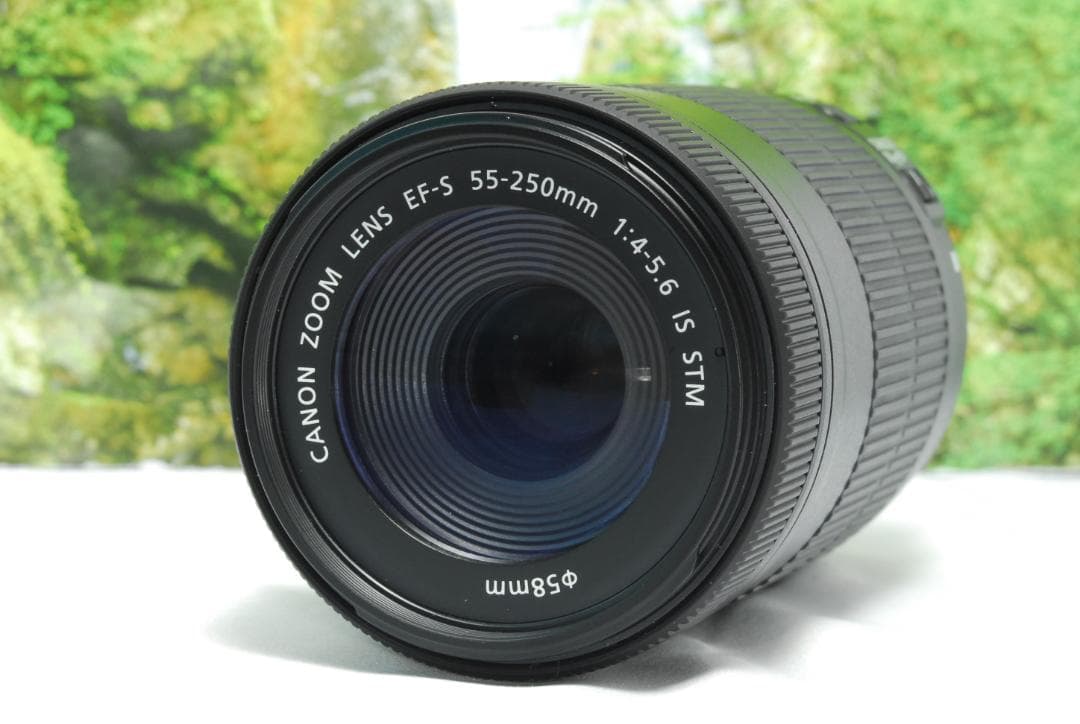 ✨高性能な望遠レンズ✨Canon EF-S 55-250㎜ IS STM✨静音✨