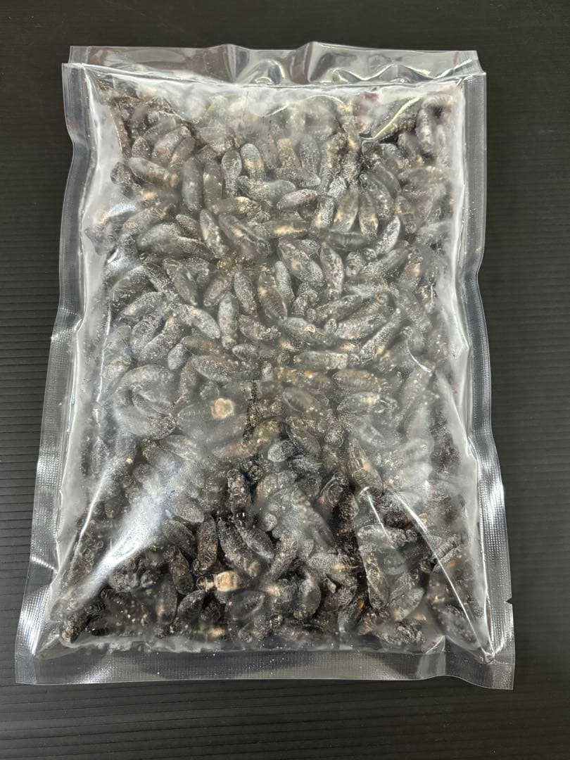 専用出品　清潔コオロギ2.2kg 冷凍コオロギ　ＭＬサイズ　クロコオロギ約2kg