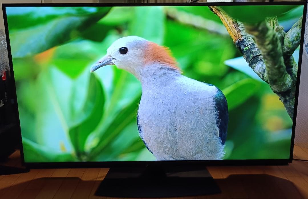 美品 22年製 55V型SHARP AQUOS 4T-C55DN1 4Kテレビ