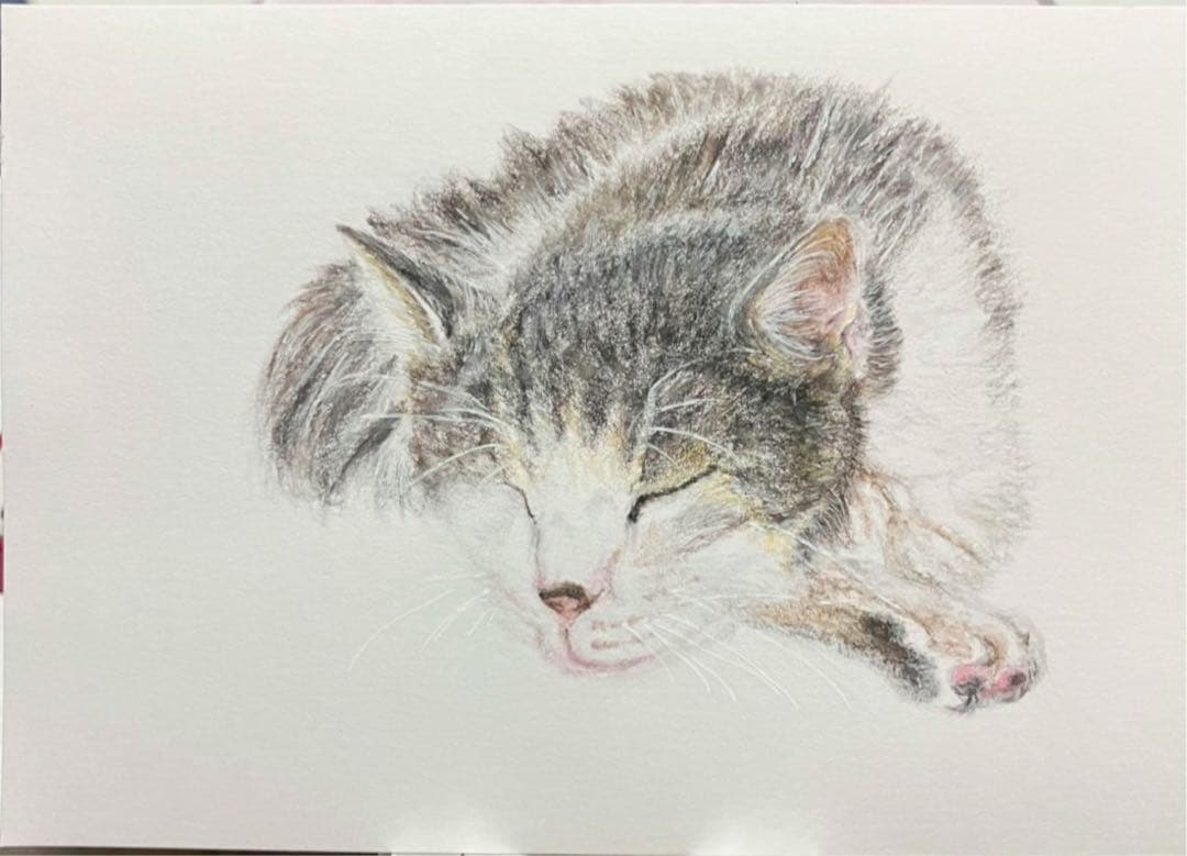 どんぐり　※他の方は購入できません