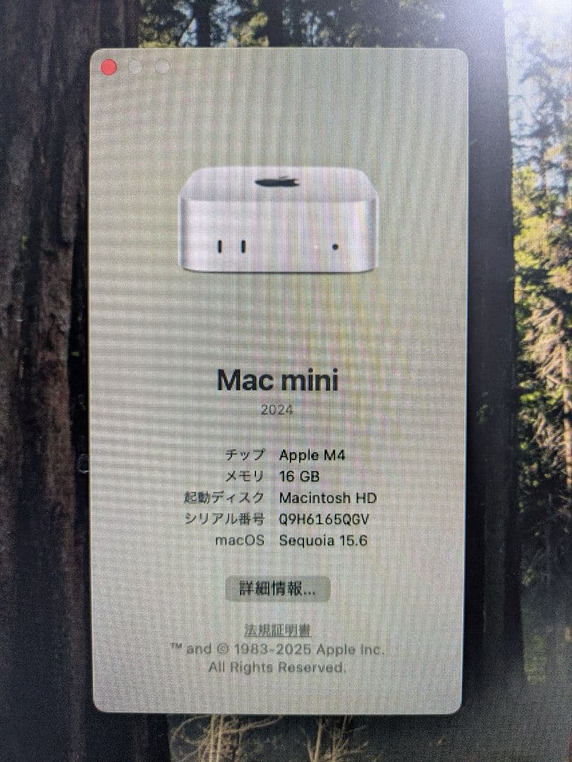 Apple Mac mini 2024 本体
