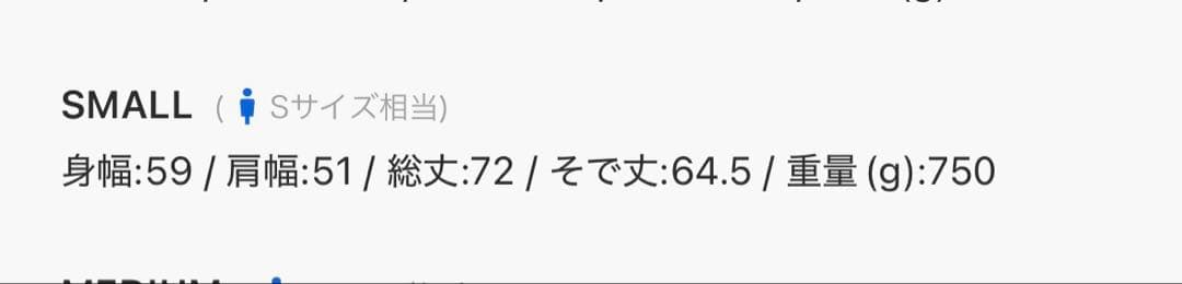 【最安値】DIESEL 23SS ナイロンジャケット