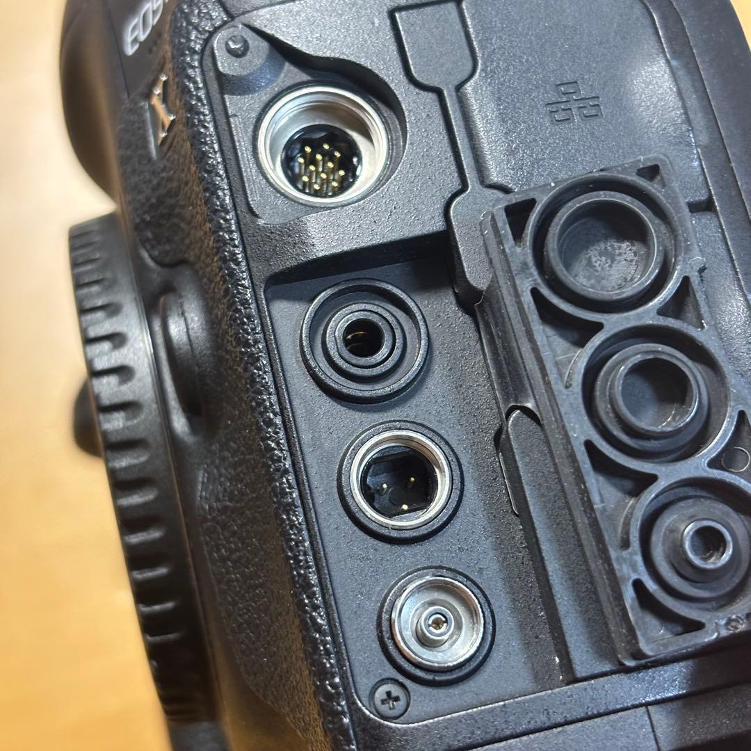 キャノン　Canon 1dx + ef 50mm f1.8 STM