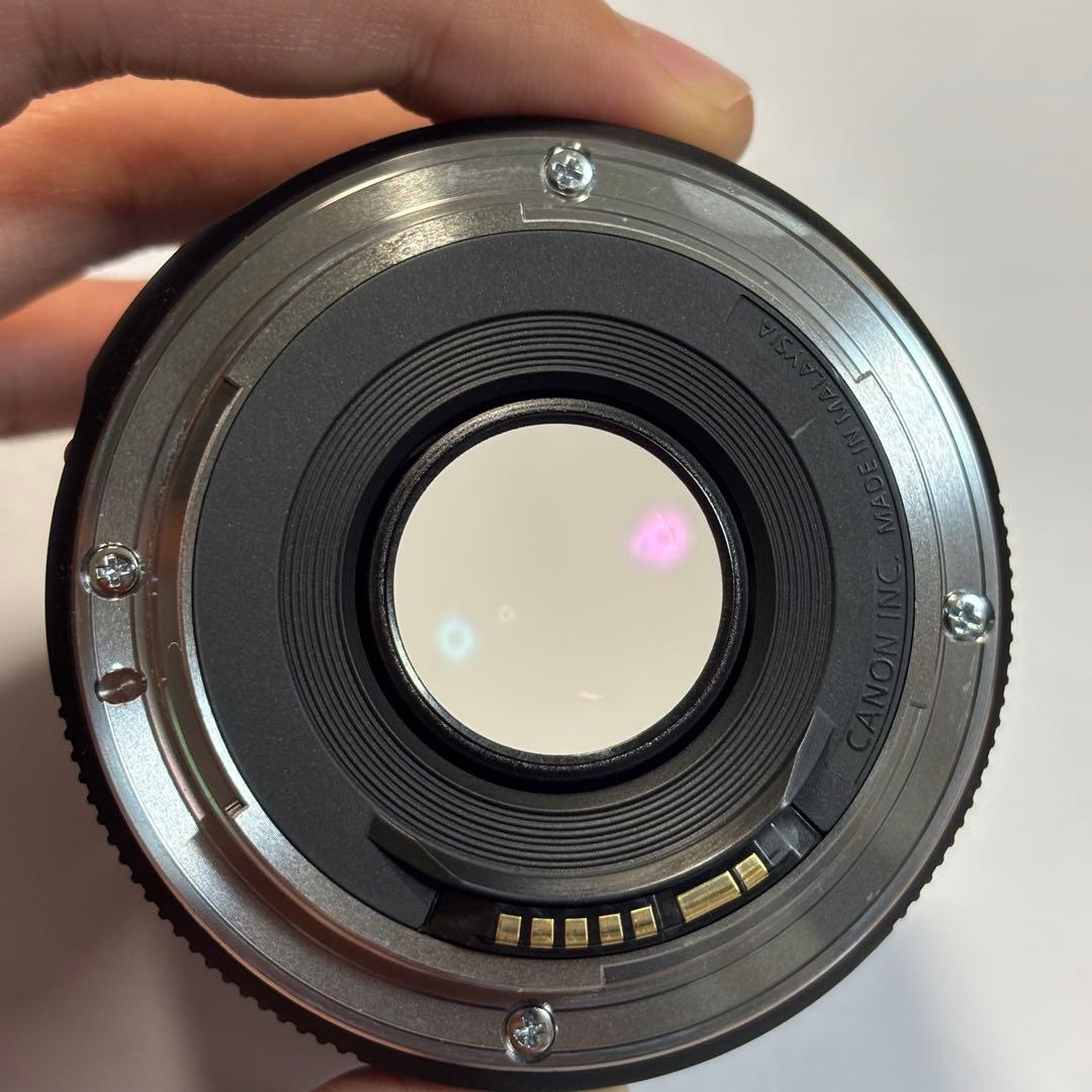 キャノン　Canon 1dx + ef 50mm f1.8 STM