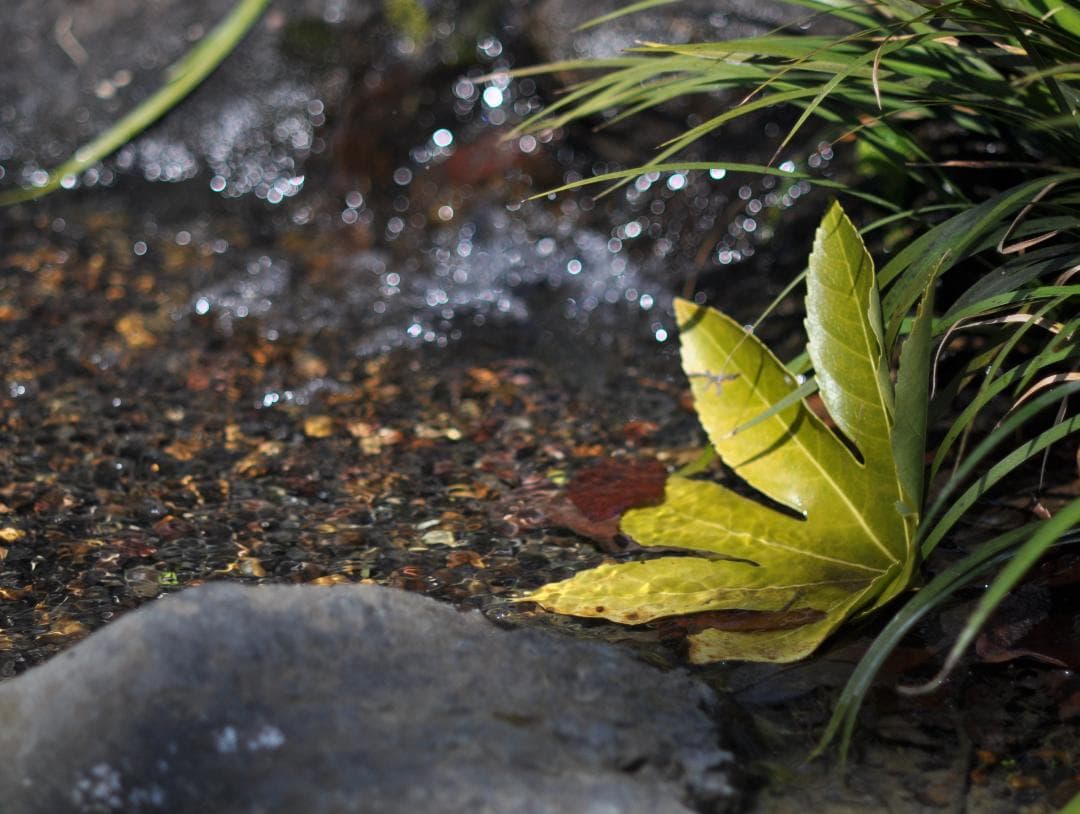 美品 試写写真有り Nikon Ai NIKKOR 85mm F/2 レンズ