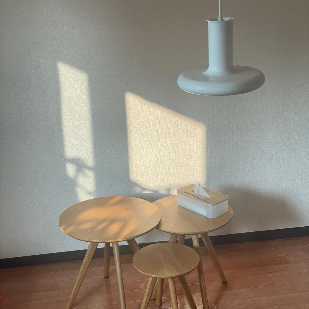 Fog & Morup Optima ペンダントランプ ライト 照明 デンマーク