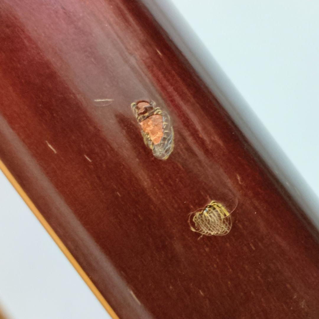 YAMAHA　FG-301B　ジャパンヴィンテージ　アコースティックギター