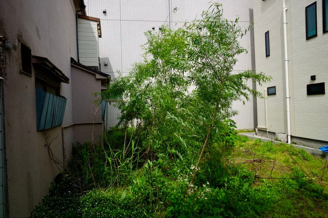 super elmar 21mm f3.4 leica 【2025/01購入品】