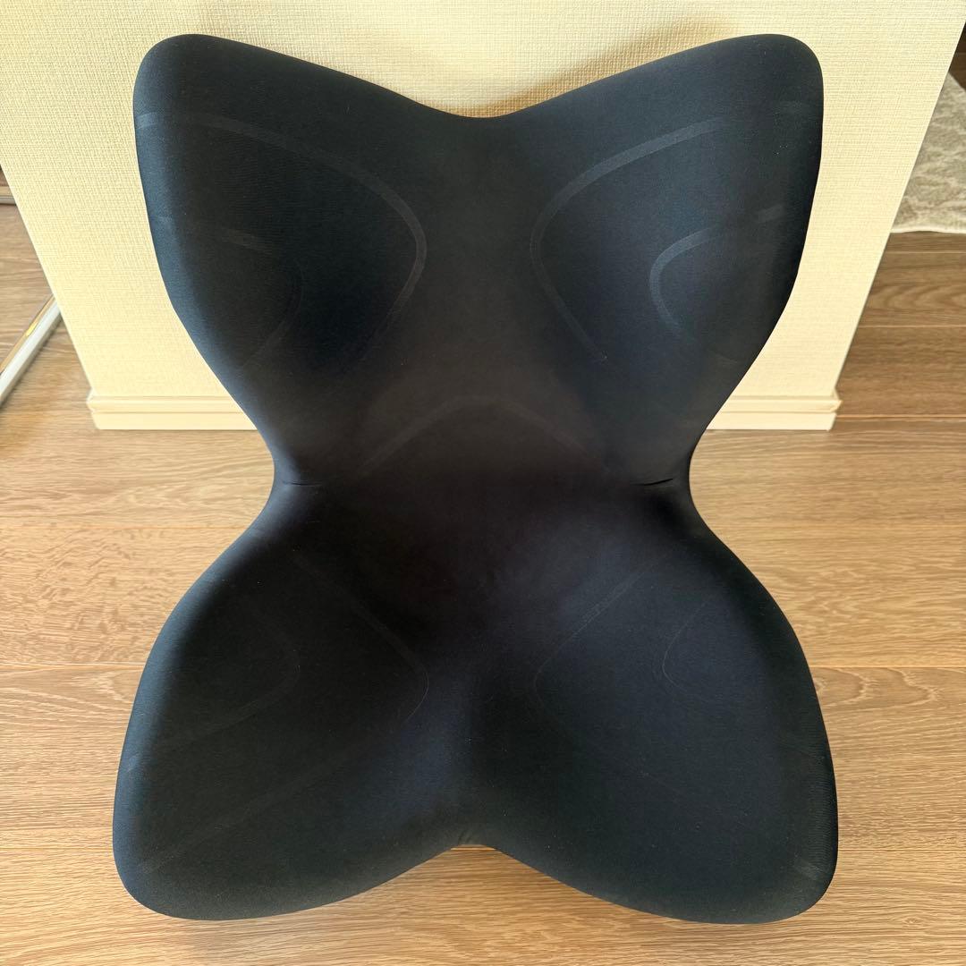 Style Premium骨盤チェア スタイル プレミアム