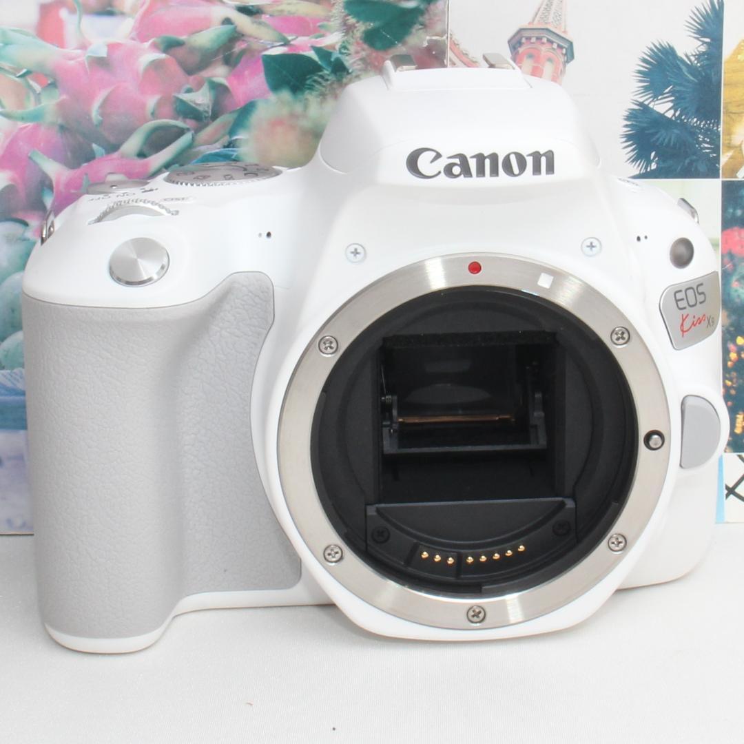 ❤️予備バッテリー付❤️Canon EOS kiss X9 超望遠ダブルレンズ