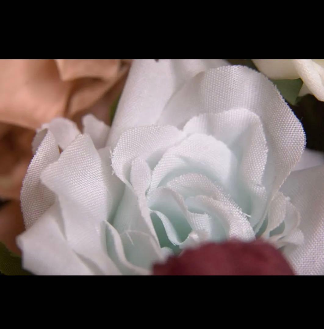 CanonミラーレスEOSRシリーズ用！マクロ変換リング！小さな世界を大きく撮る