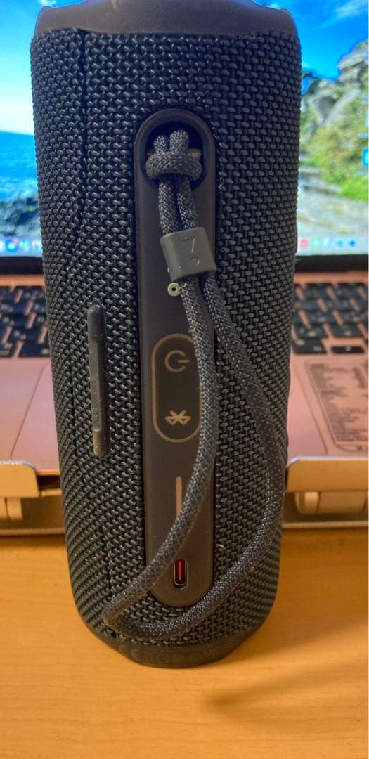 国内正規品JBL FLIP6 ブルー　JBLFLIP6BLU