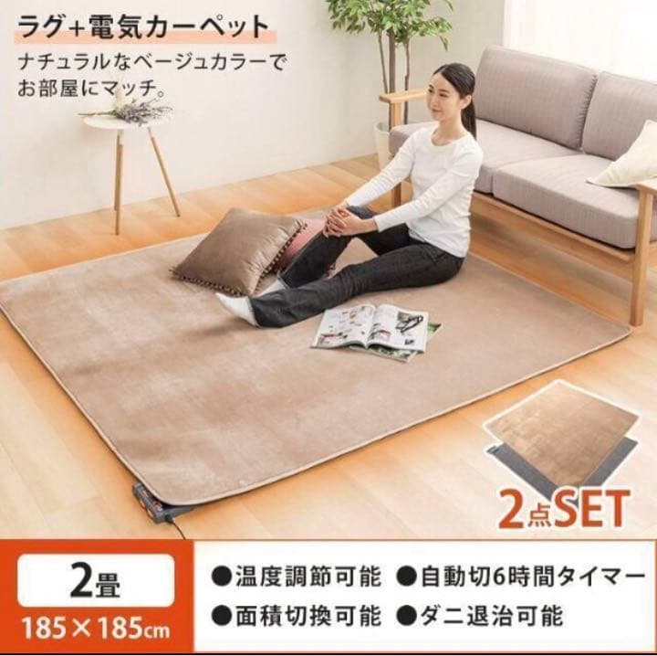新品★TEKNOS ラグ付き 2畳用電気カーペット
