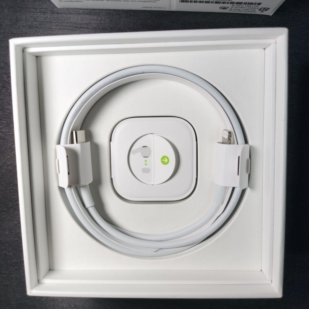 Apple AirPods Pro 【第一世代】本体