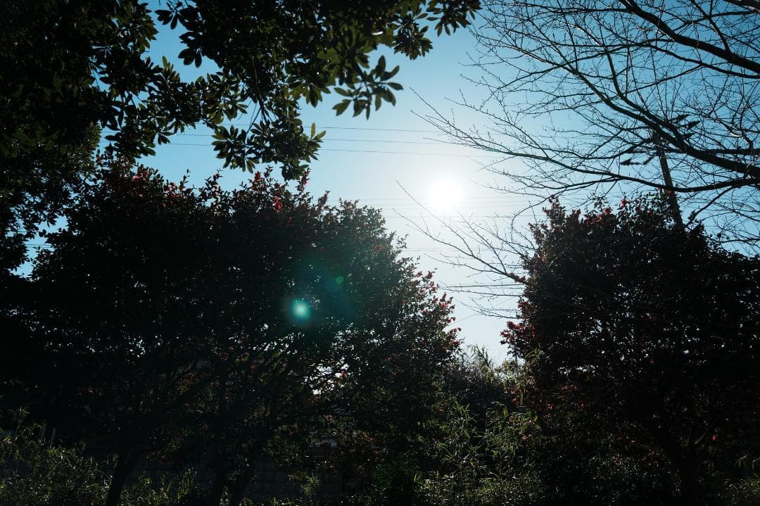 【テスト済安心】SONY SEL2470GM ソニー大三元ズーム 605