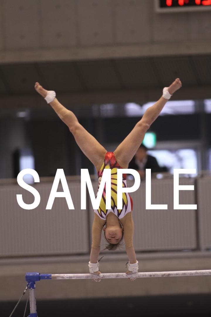 【user_44b987d5様用】18年全日本個人別体操 日本女子選手画像集フル