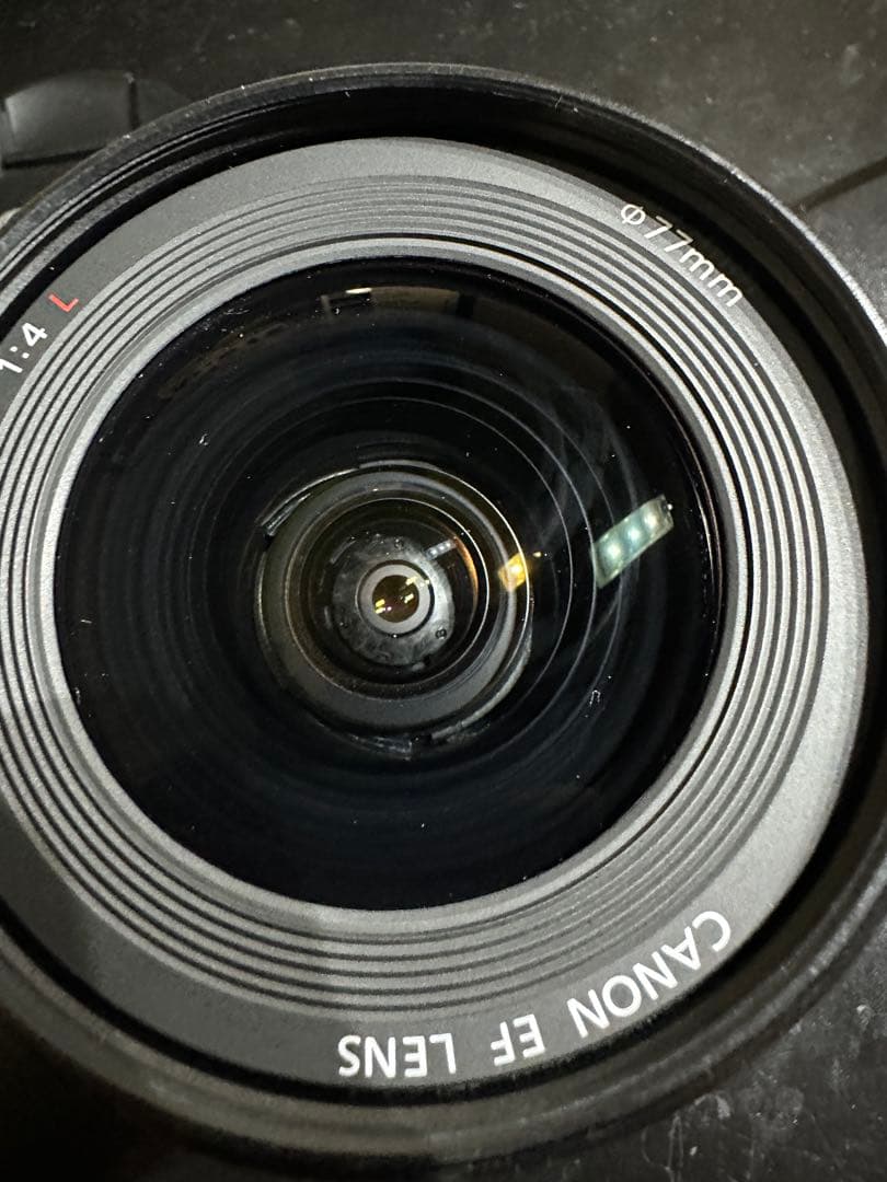 最終価格 CANON EF 17-40mm F4 L