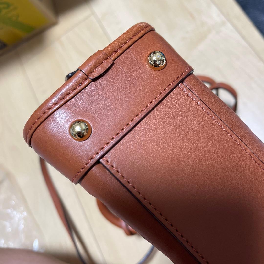 LOEWE AMAZONA 23 BAG ブリックレッド　中古