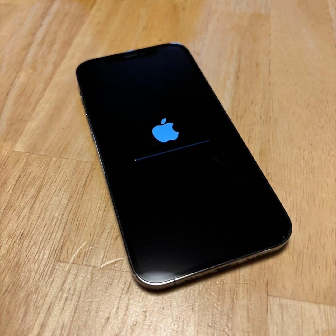 iPhone 12 Pro 128GB グラファイト SIMロックなし