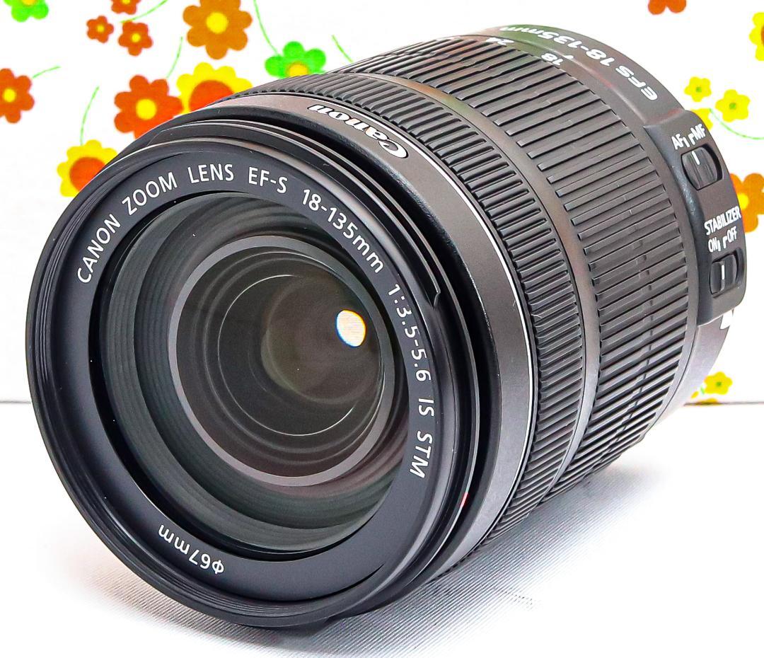 美品 Canon EF-S 18-135mm STM☆高性能・高倍率レンズ
